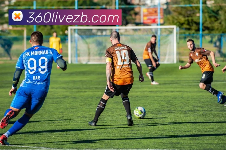 360直播平台生态图